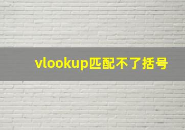 vlookup匹配不了括号