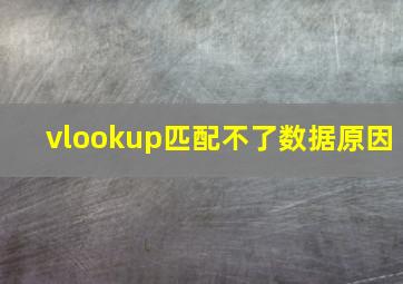 vlookup匹配不了数据原因