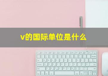 v的国际单位是什么