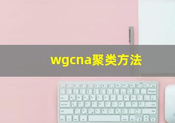 wgcna聚类方法