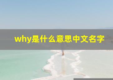 why是什么意思中文名字