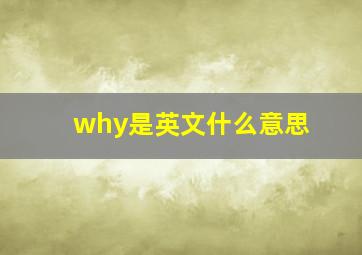 why是英文什么意思