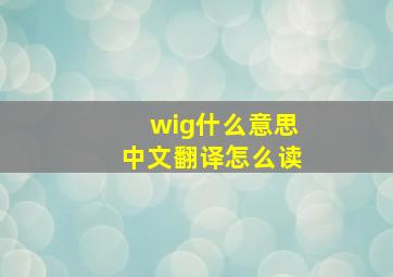 wig什么意思中文翻译怎么读