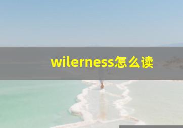 wilerness怎么读