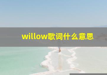 willow歌词什么意思