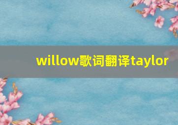 willow歌词翻译taylor