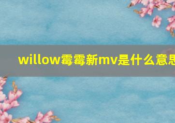 willow霉霉新mv是什么意思