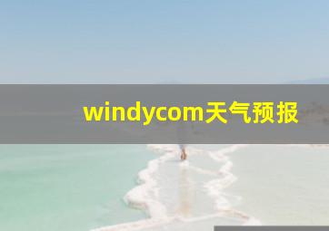 windycom天气预报