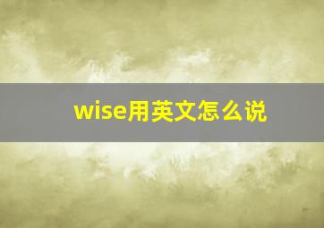 wise用英文怎么说