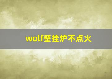 wolf壁挂炉不点火