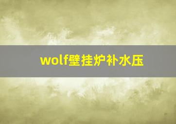 wolf壁挂炉补水压