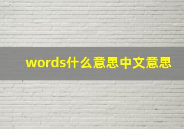 words什么意思中文意思