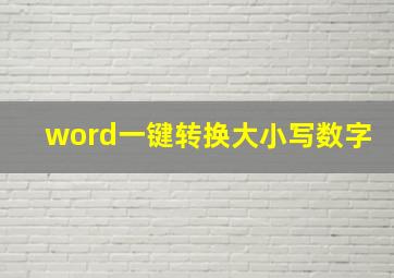 word一键转换大小写数字