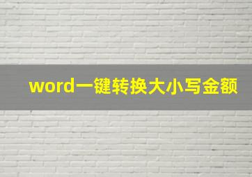 word一键转换大小写金额