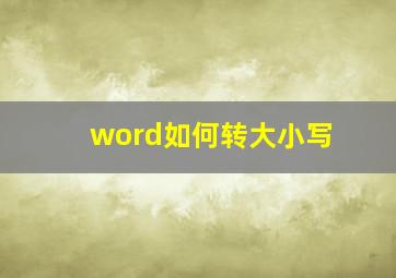 word如何转大小写