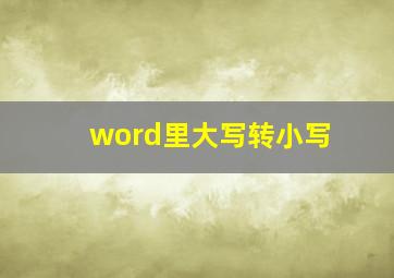 word里大写转小写