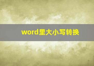 word里大小写转换