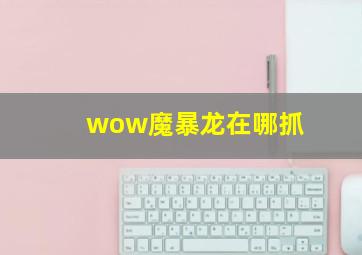 wow魔暴龙在哪抓