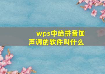 wps中给拼音加声调的软件叫什么