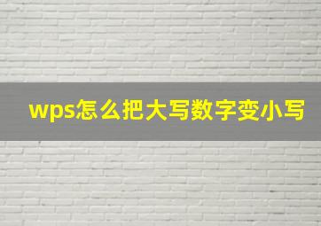 wps怎么把大写数字变小写