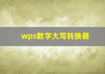 wps数字大写转换器