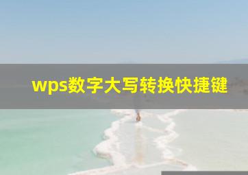 wps数字大写转换快捷键