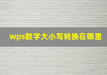 wps数字大小写转换在哪里