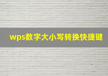 wps数字大小写转换快捷键