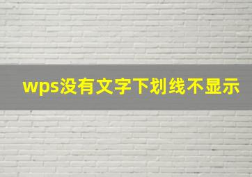 wps没有文字下划线不显示