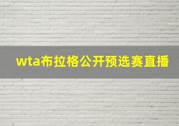 wta布拉格公开预选赛直播