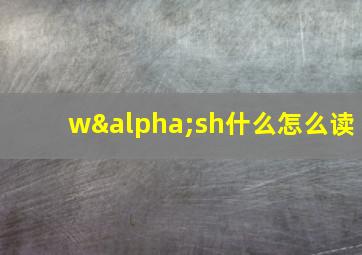 wαsh什么怎么读