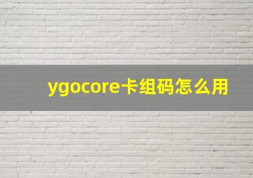 ygocore卡组码怎么用