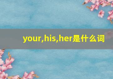 your,his,her是什么词