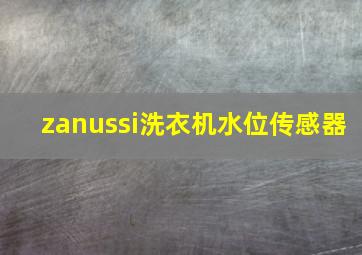 zanussi洗衣机水位传感器