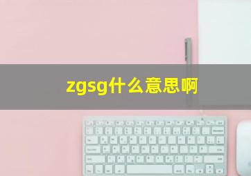 zgsg什么意思啊