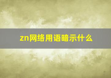 zn网络用语暗示什么