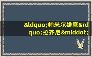 “帕米尔雄鹰”拉齐尼·巴依卡:一腔热血献给祖国河山