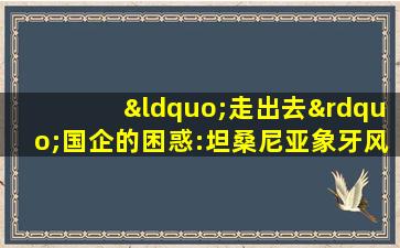 “走出去”国企的困惑:坦桑尼亚象牙风波