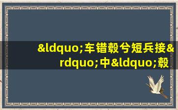 “车错毂兮短兵接”中“毂”的意思是