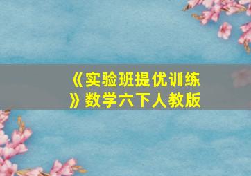 《实验班提优训练》数学六下人教版