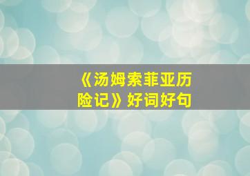 《汤姆索菲亚历险记》好词好句