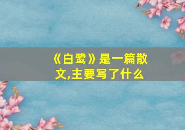 《白鹭》是一篇散文,主要写了什么