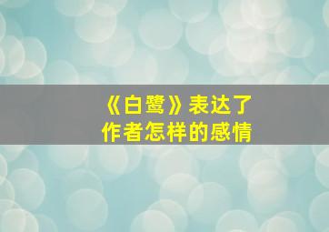 《白鹭》表达了作者怎样的感情