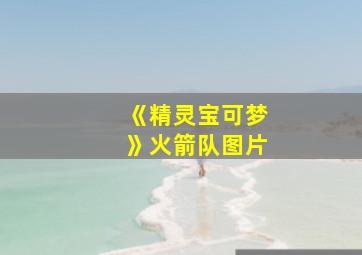 《精灵宝可梦》火箭队图片