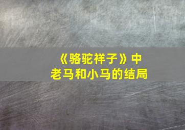 《骆驼祥子》中老马和小马的结局