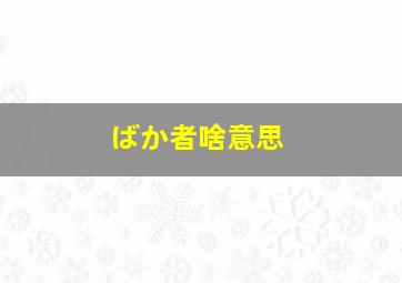 ばか者啥意思