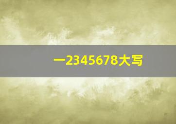 一2345678大写