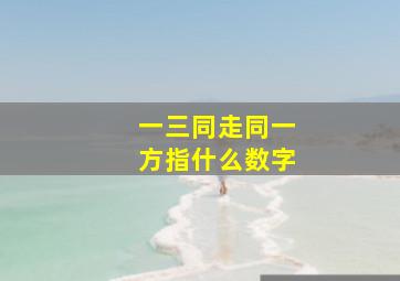 一三同走同一方指什么数字