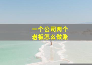 一个公司两个老板怎么做账