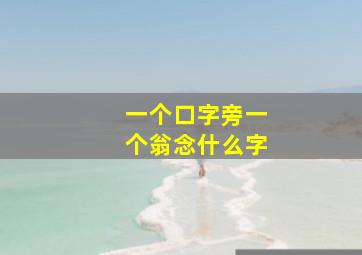 一个口字旁一个翁念什么字